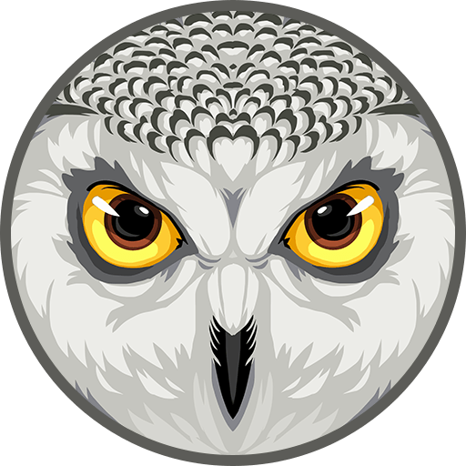 Skin 531